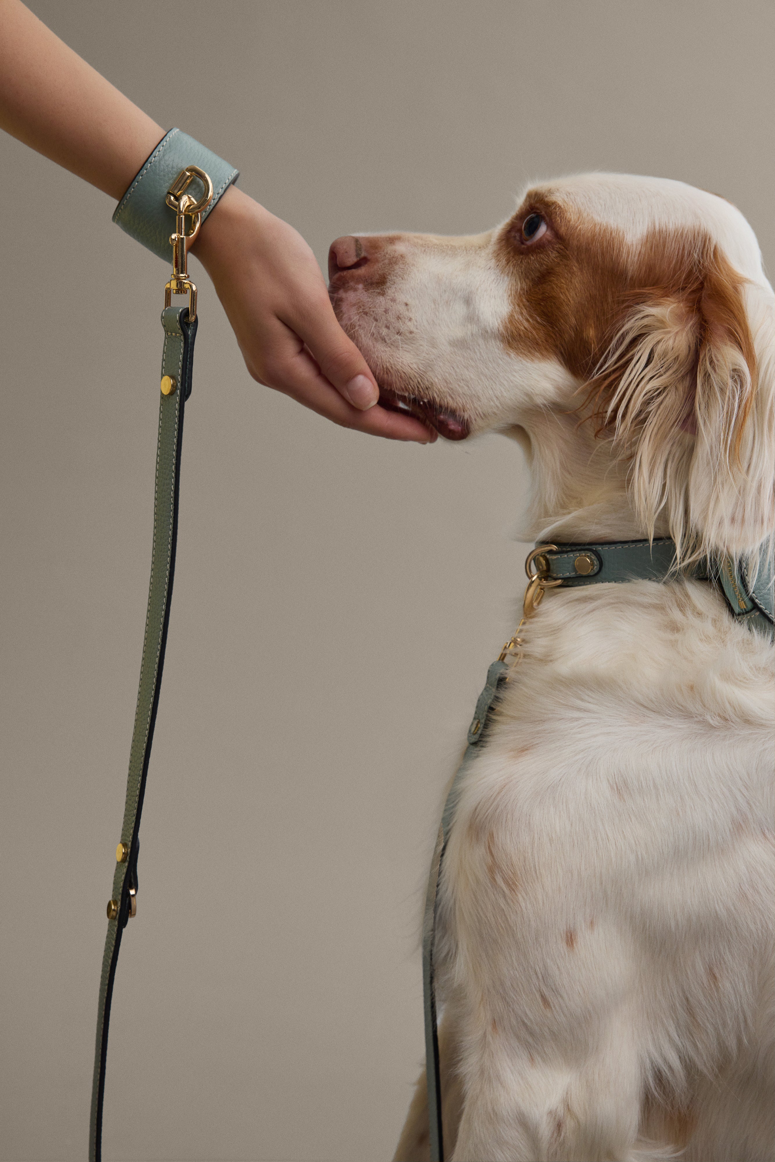 Arvak + Sól wrist and lead set with leather straps and metal clasps, suitable for outdoor activities or pet training.