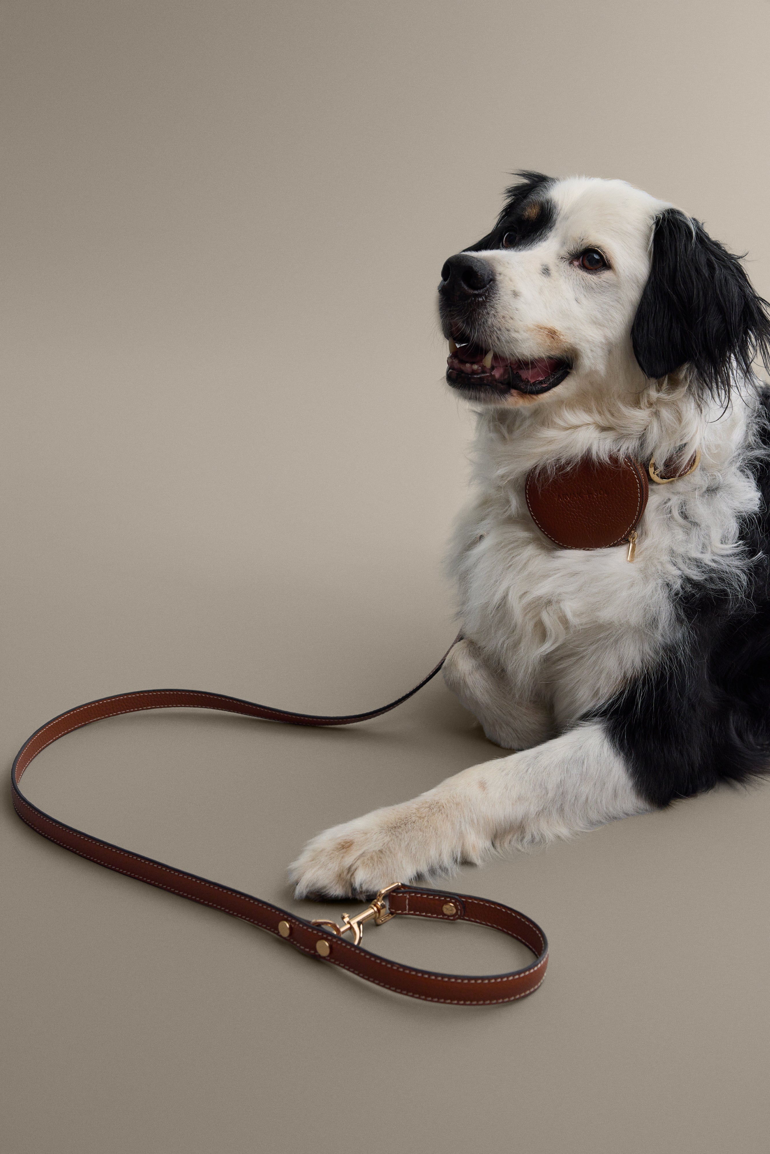 Double ended leash by Arvak + Sól, showing sturdy nylon strap with metal clips for versatile dog walking and training.