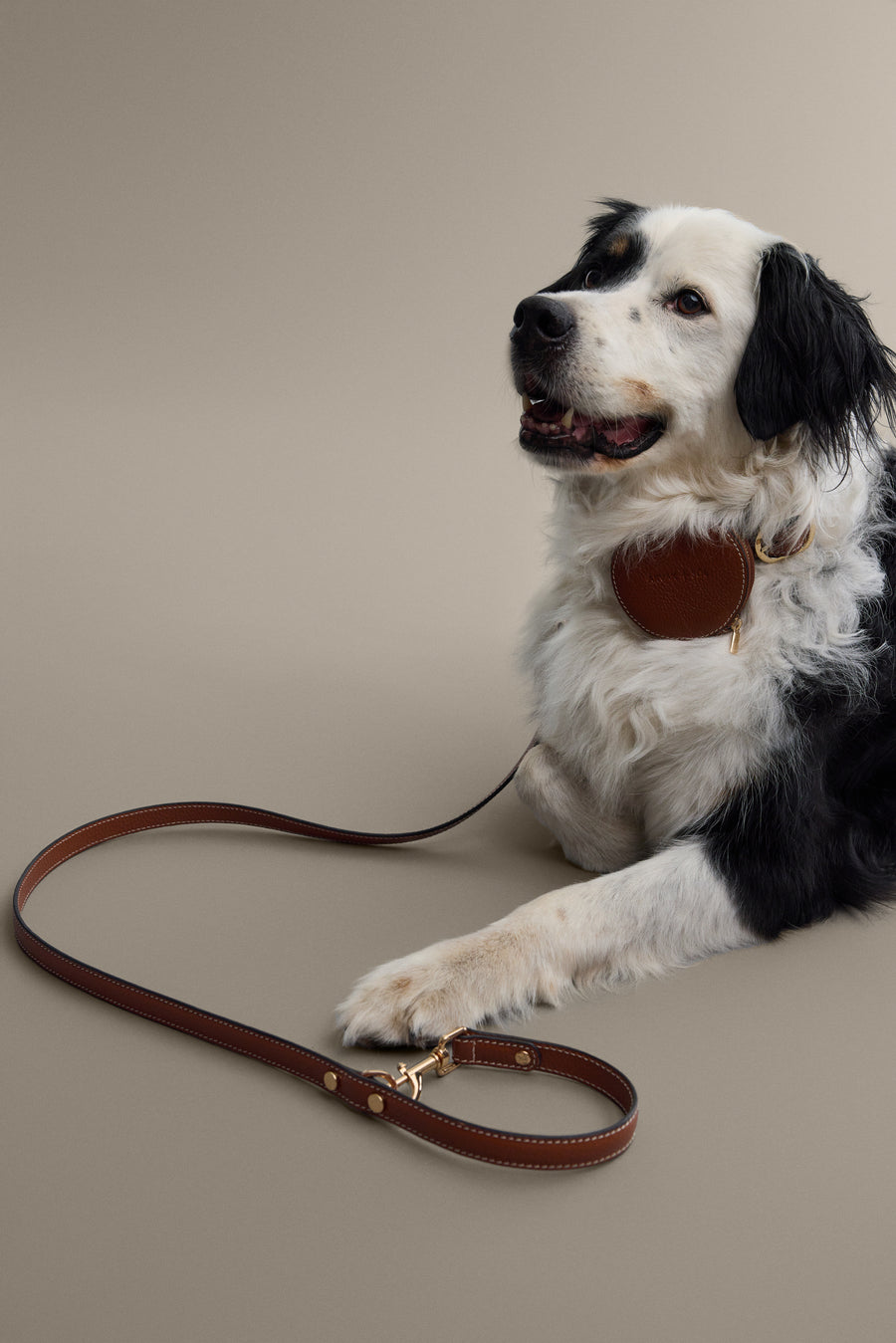 Double ended leash by Arvak + Sól, showing sturdy nylon strap with metal clips for versatile dog walking and training.