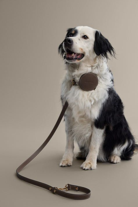 Round Coin Purse / Waste Bag Holder