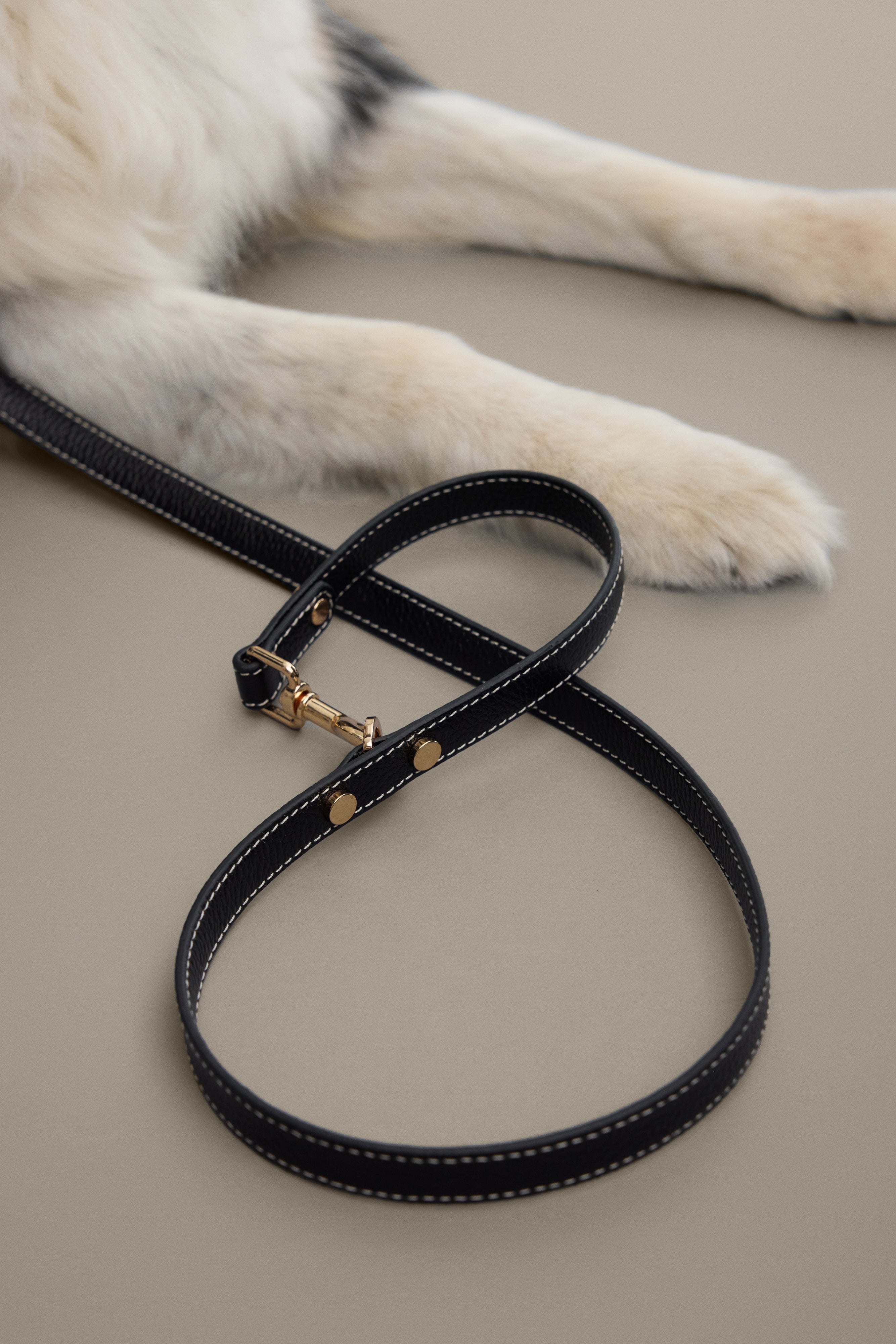 Double ended leash by Arvak + Sól shown in black, with metal clips and durable nylon material for secure pet walking.