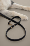 Double Ended Leash