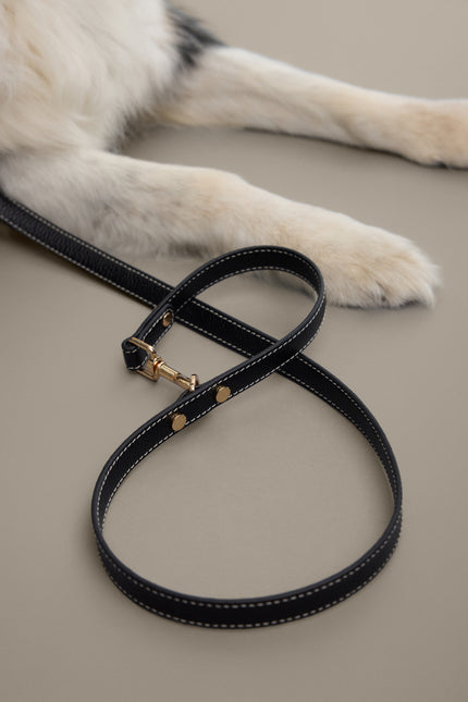 Double Ended Leash