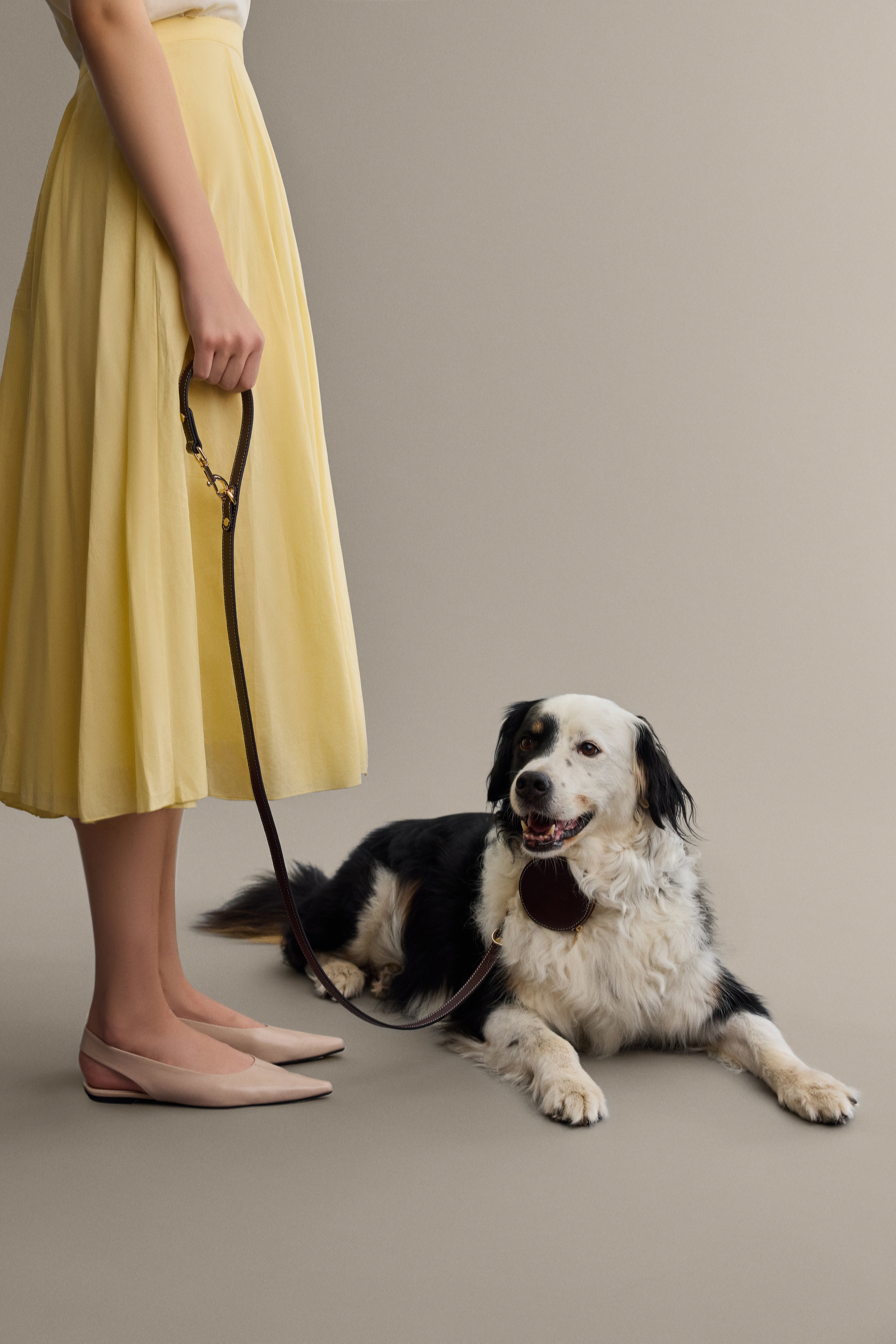 Double ended leash by Arvak + Sól, showing sturdy nylon straps with metal clips for versatile dog walking and training.