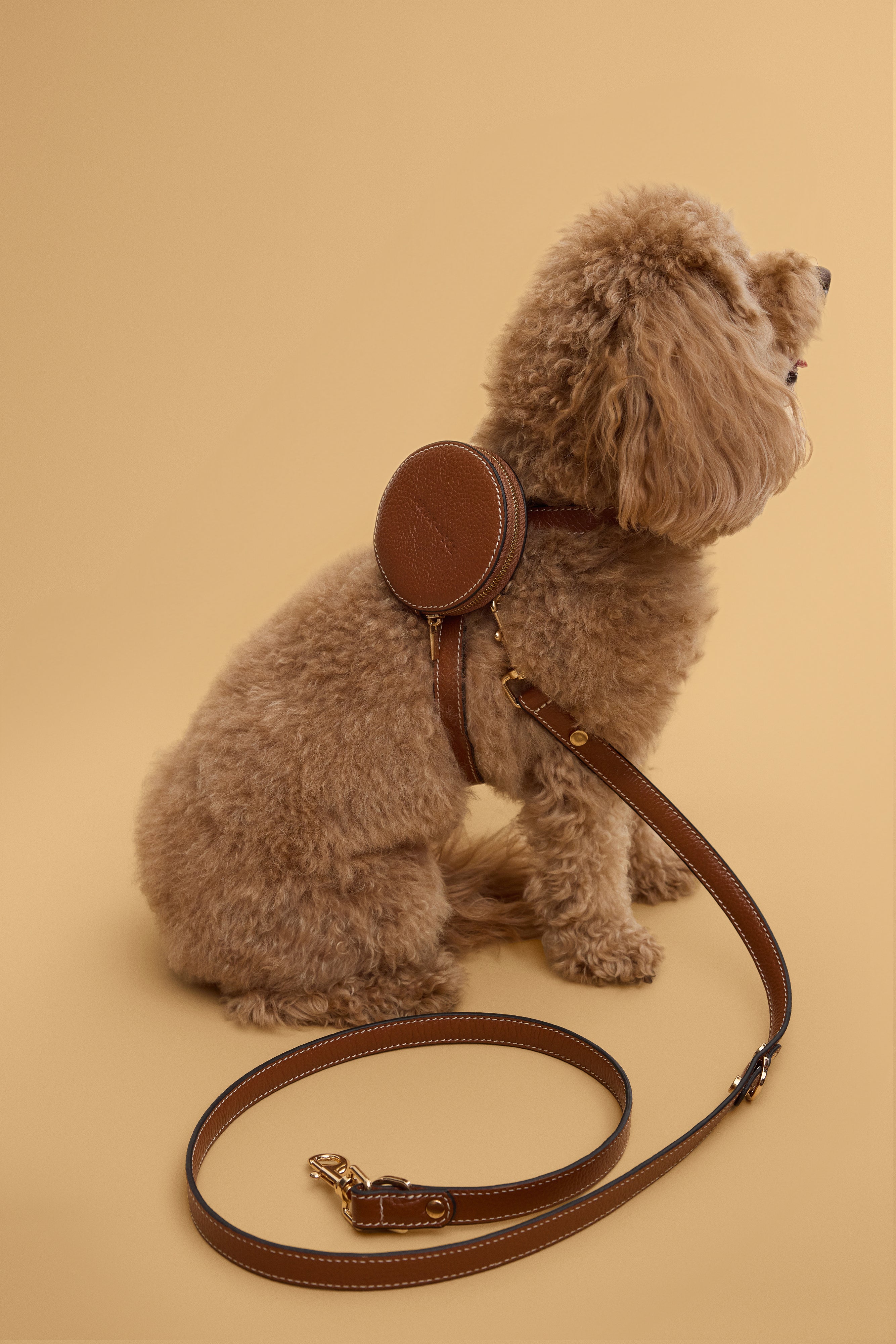 Arvak + Sól backpack dog harness with adjustable straps and breathable mesh for comfortable pet walking and outdoor adventures.
