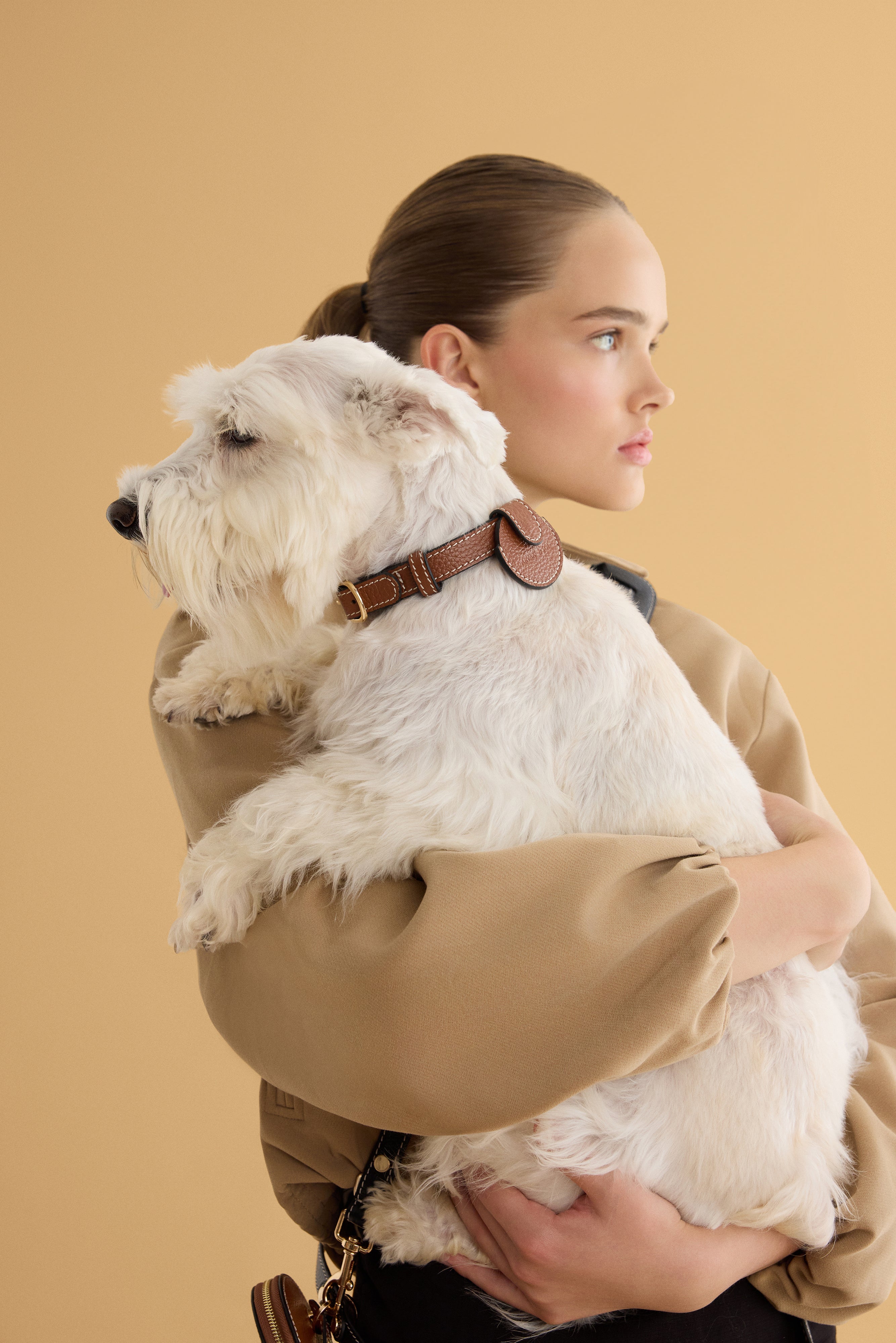 Close-up of the Not Your Classic Collar by Arvak + Sól, showcasing its unique design and craftsmanship.