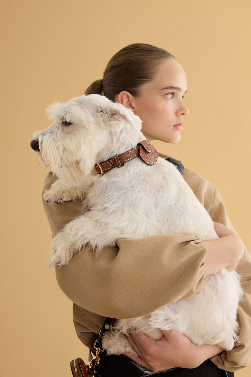 Close-up of the Not Your Classic Collar by Arvak + Sól, showcasing its unique design and craftsmanship.