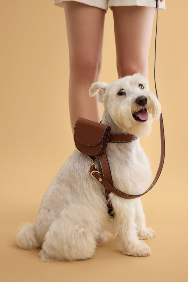 Wallet / Waste Bag Holder