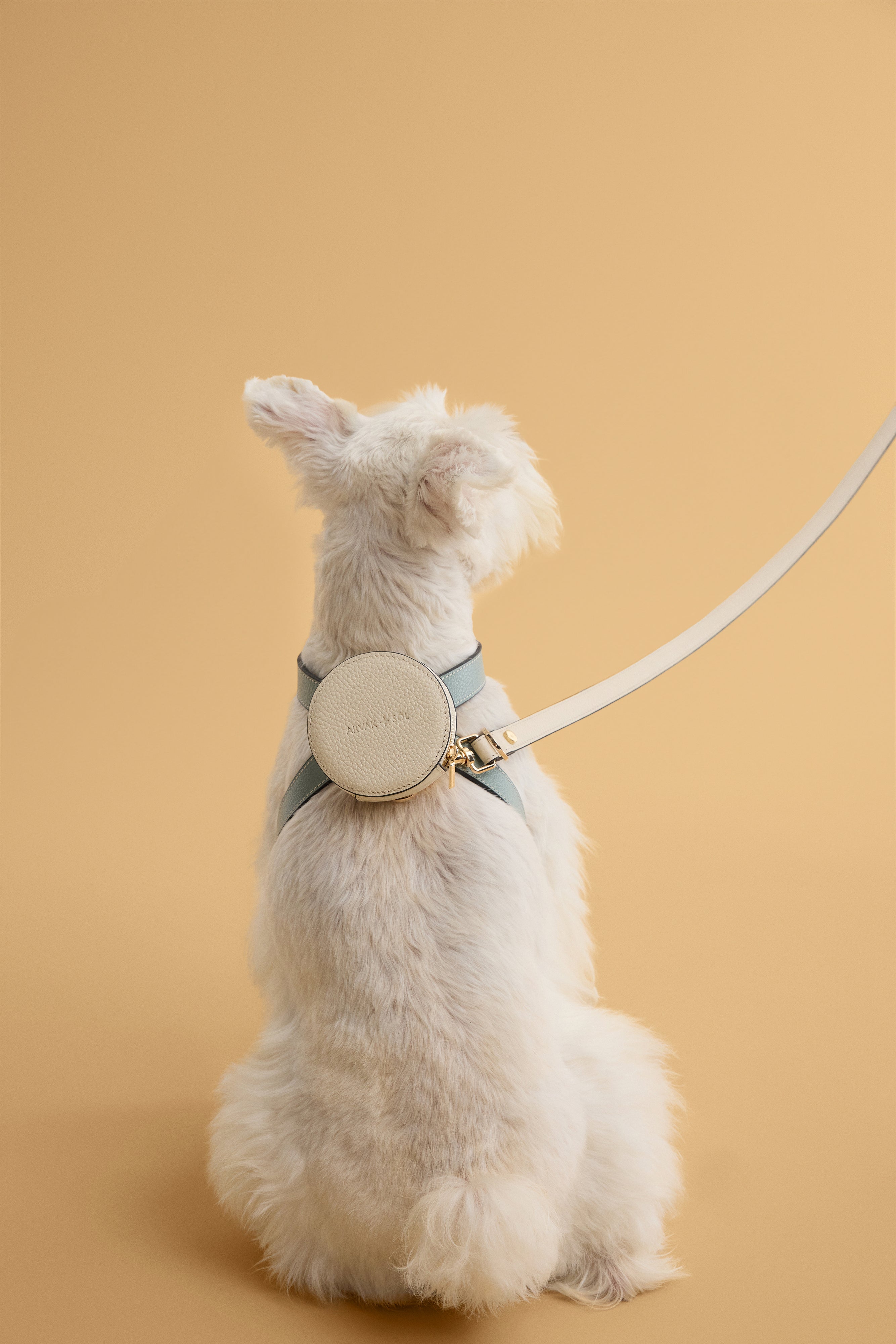 Double ended leash by Arvak + Sól, showing sturdy construction and comfortable handles for versatile dog walking.