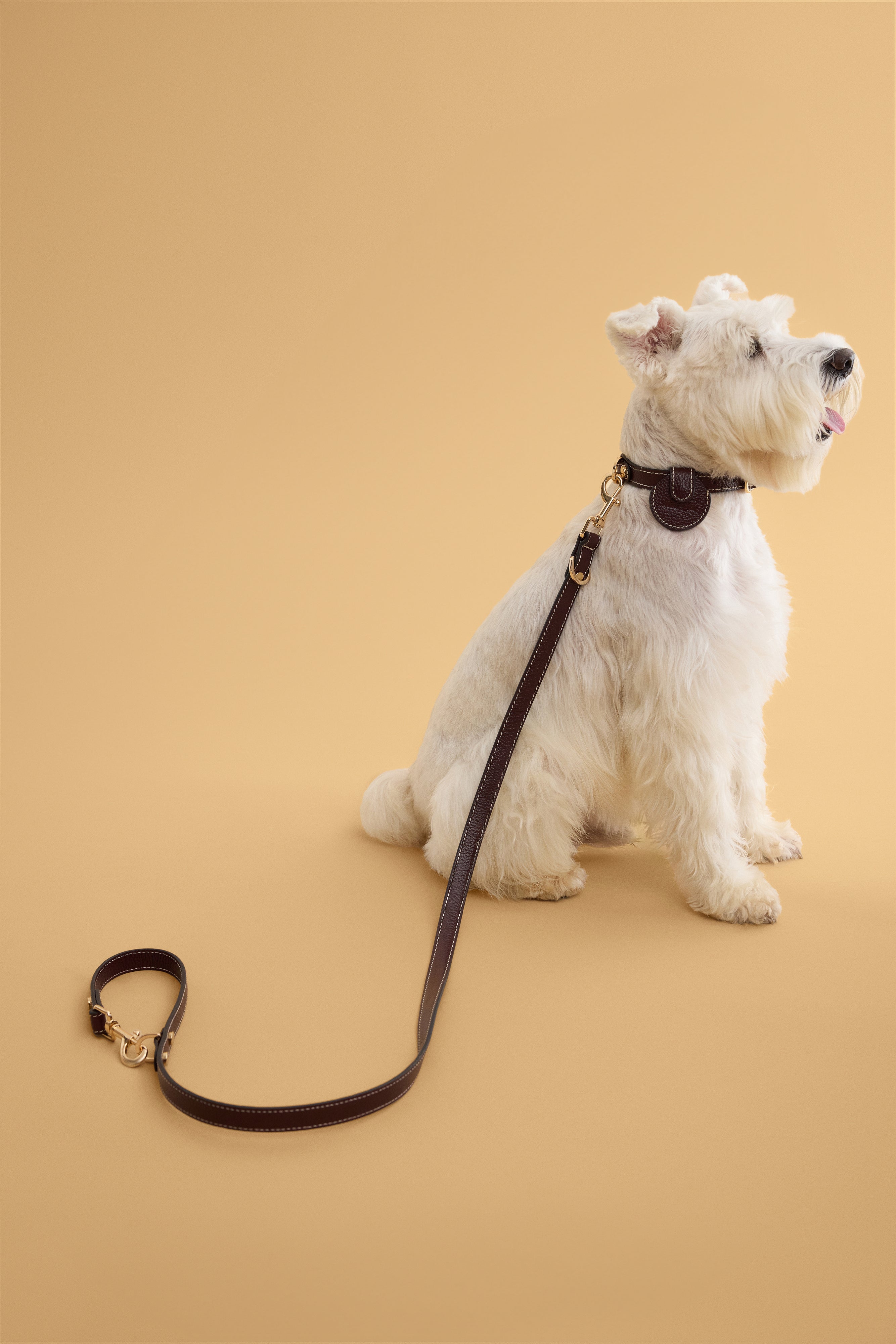 Double ended leash by Arvak + Sól shown with durable nylon straps and metal clips for versatile pet walking and training.