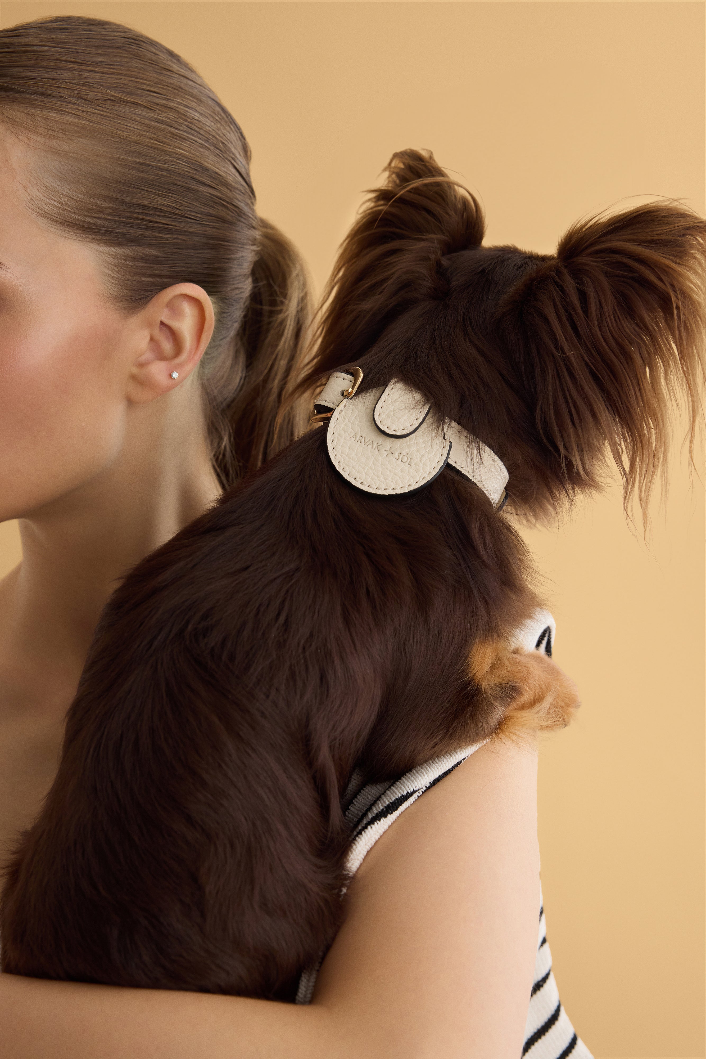 Close-up of the Not Your Classic Collar by Arvak + Sól, featuring detailed leather craftsmanship and stylish design.