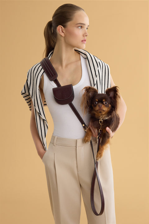 Hands free leash and folding wallet from Arvak + Sól, showing the compact wallet and adjustable leash in a close-up shot.