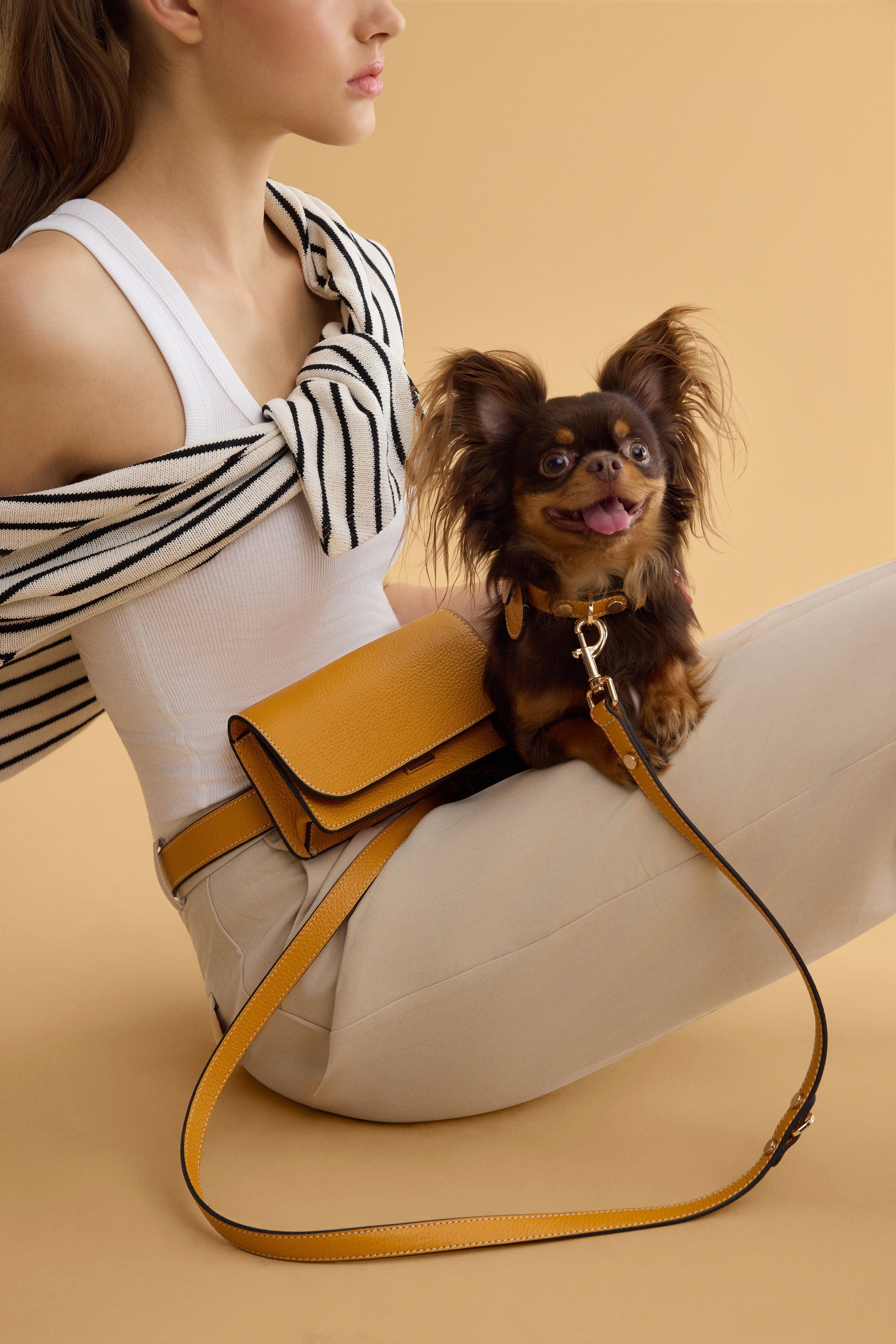 Arvak + Sól Belt Bag featuring a sleek black design with adjustable strap and compact size for hands-free convenience.