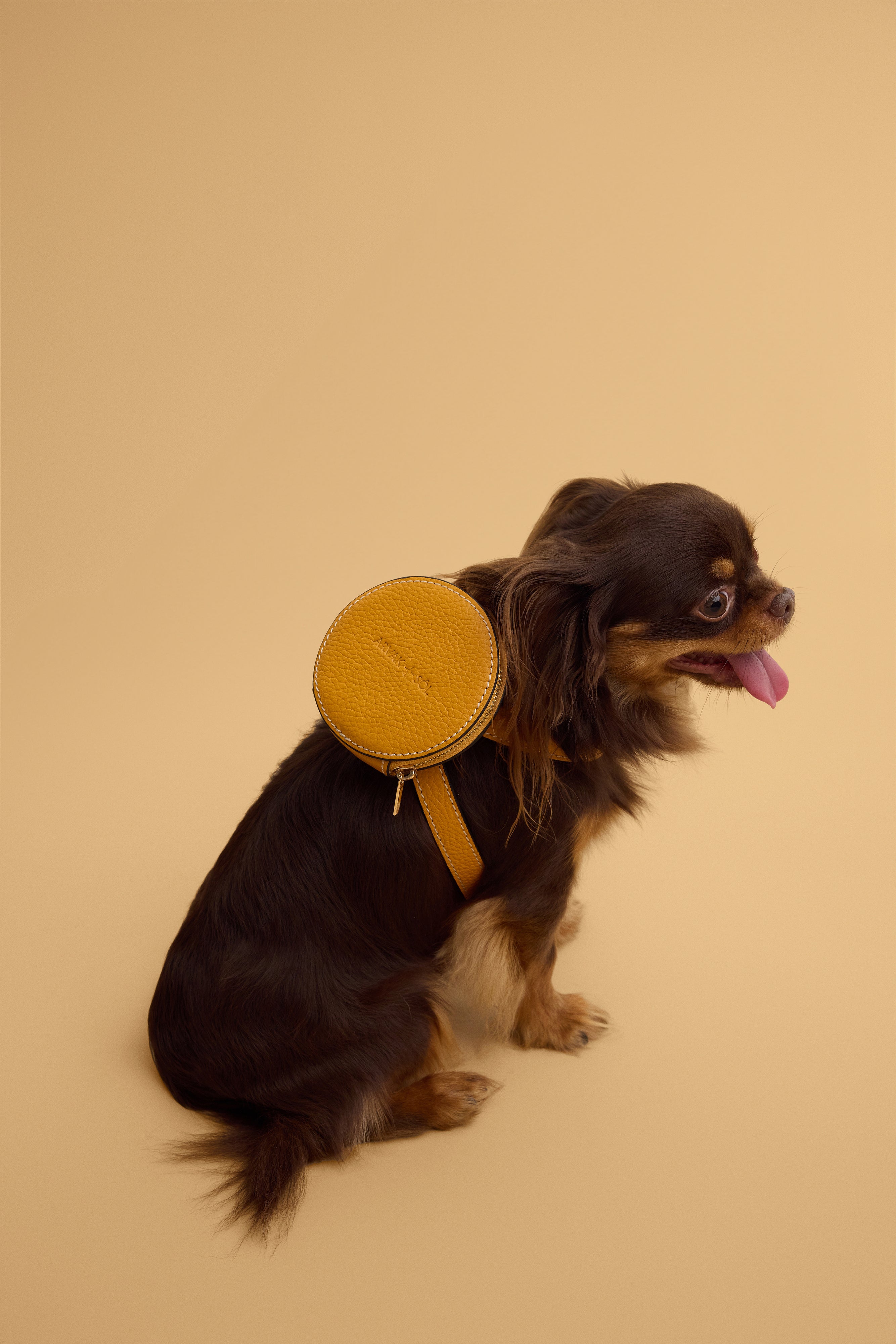 Arvak + Sól backpack dog harness with adjustable straps and breathable mesh for comfortable pet walking and outdoor adventures.